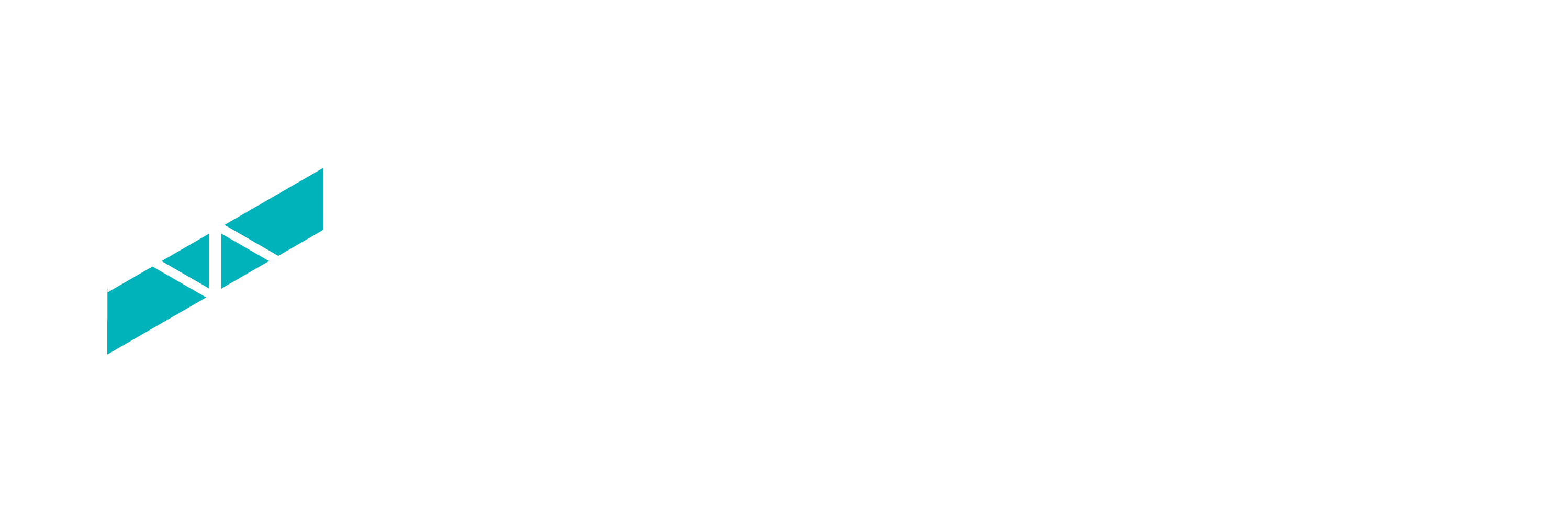 Logo Norn Data negativo